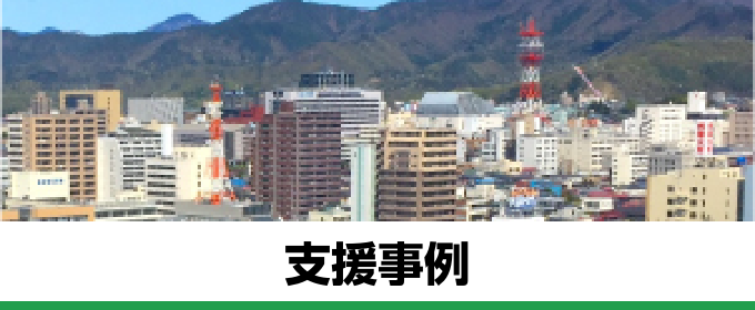 支援事例